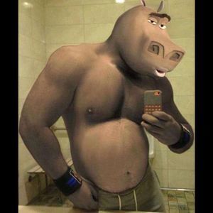 Meet your Posher, Mia